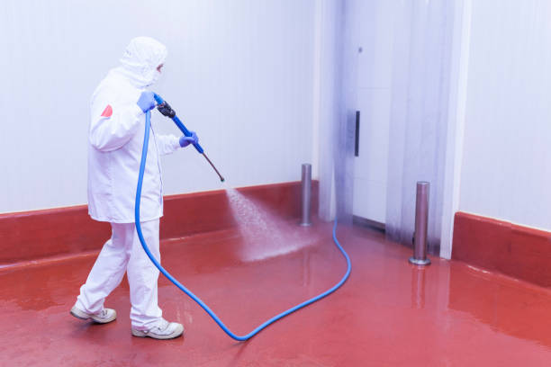 Best Oil Spill Cleanup  in Vineyard, CA